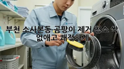 부천 소사본동 곰팡이 제거 청소, 싹 없애고 쾌적하게!