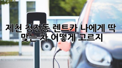 제천 청전동 렌트카: 나에게 딱 맞는 차, 어떻게 고르지?