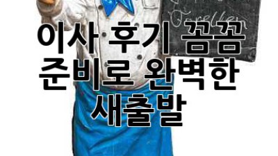 이사 후기: 꼼꼼 준비로 완벽한 새출발! ✨