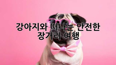 강아지와 떠나는 안전한 장거리 여행